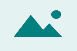 ⭐️ Rent Service Problem Submit ⭐️